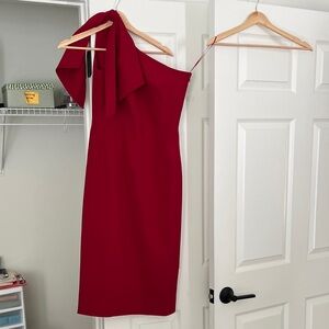 Dress the Population One-Shoulder Burgundy Dress